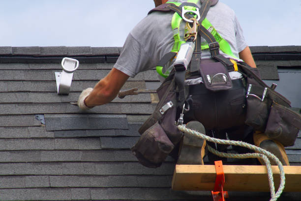 Best Sealant for Roof  in Belle Haven, VA
