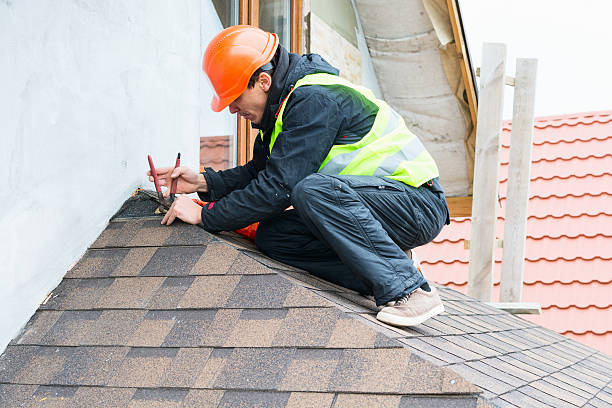 Best Local Roofing Companies  in Belle Haven, VA